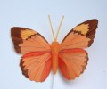 207744 Veren vlinder oranje 8 cm breed